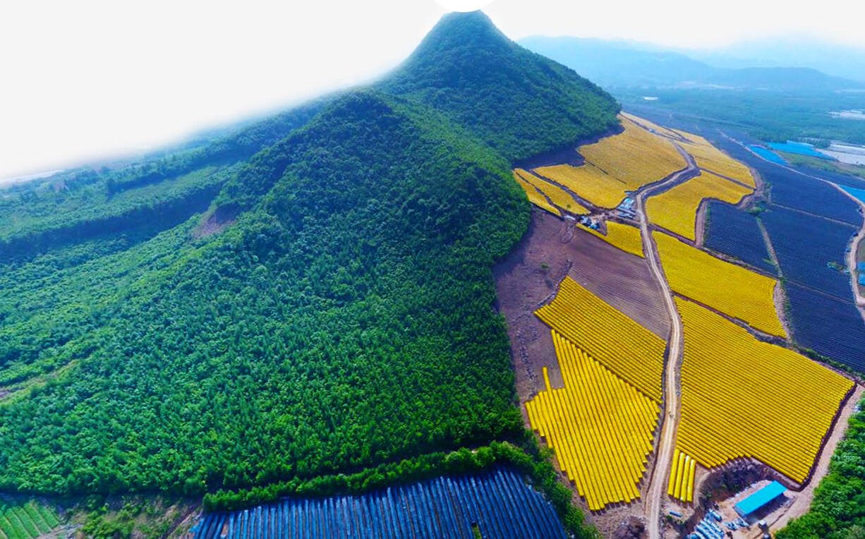 網站案例縮略圖