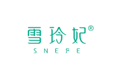 數(shù)字營(yíng)銷(xiāo)：雪玲妃